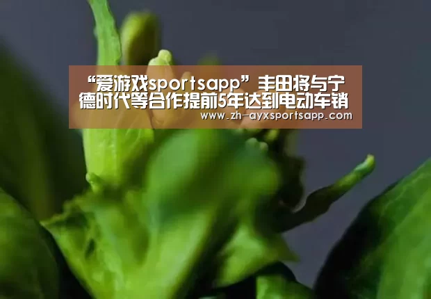 爱游戏sportsapp