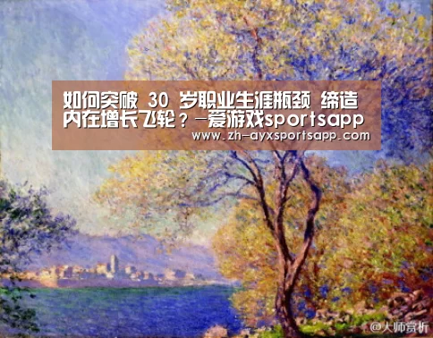 如何突破 30 岁职业生涯瓶颈 缔造内在增长飞轮?-爱游戏sportsapp(图2) 爱游戏sportsapp