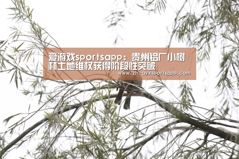 爱游戏sportsapp