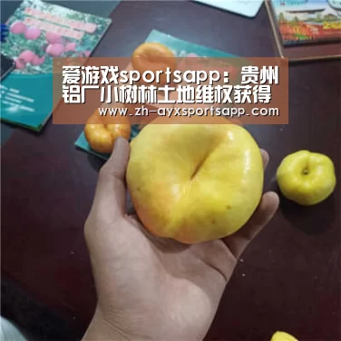 爱游戏sportsapp