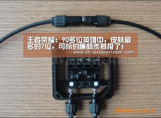王者荣耀:90多位英雄中,皮肤最多的7位,可怜的廉颇羡慕极了!“爱游戏sportsapp”(图1) 爱游戏sportsapp