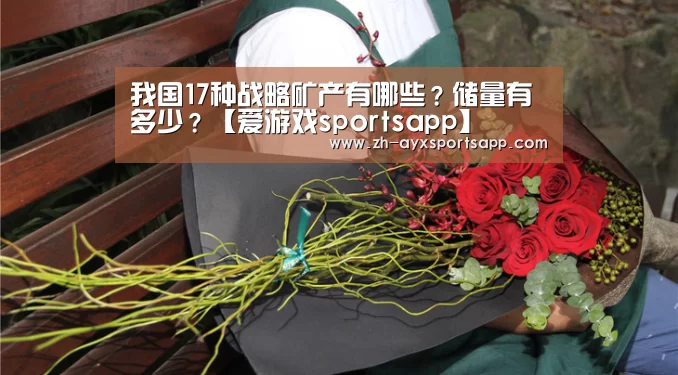 爱游戏sportsapp