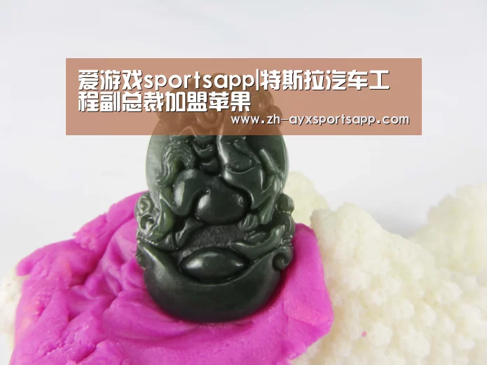 爱游戏sportsapp|特斯拉汽车工程副总裁加盟苹果