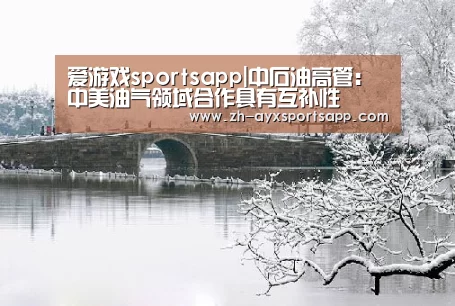 爱游戏sportsapp