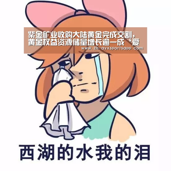 紫金矿业收购大陆黄金完成交割,黄金权益资源储量增长逾一成‘爱游戏sportsapp’(图1) 爱游戏sportsapp