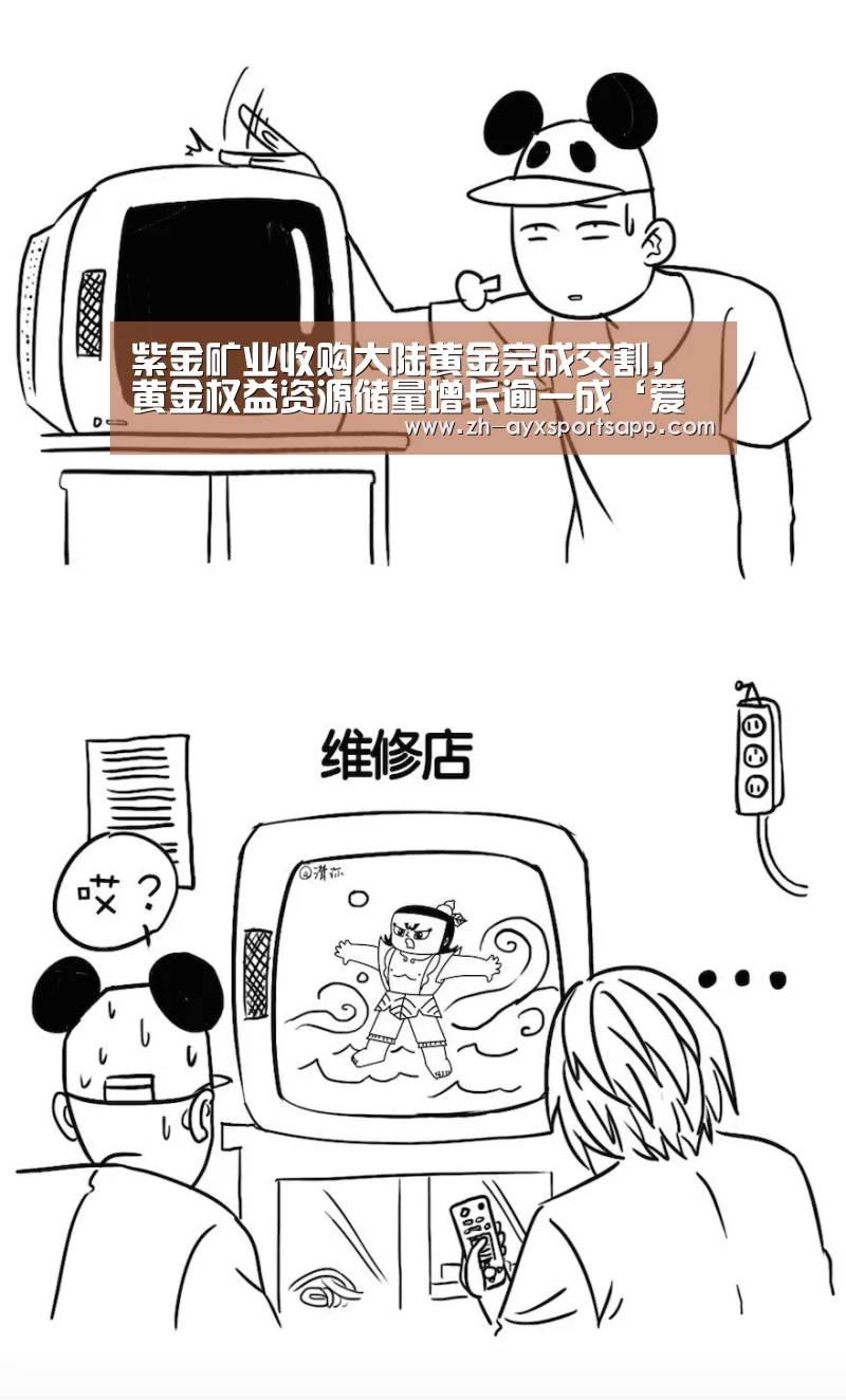紫金矿业收购大陆黄金完成交割,黄金权益资源储量增长逾一成‘爱游戏sportsapp’(图2) 爱游戏sportsapp