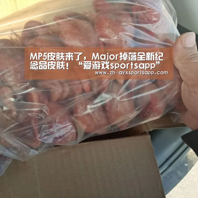 MP5皮肤来了,Major掉落全新纪念品皮肤!“爱游戏sportsapp”(图3) 爱游戏sportsapp