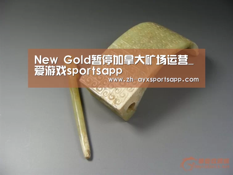 New Gold暂停加拿大矿场运营_爱游戏sportsapp(图1) 爱游戏sportsapp