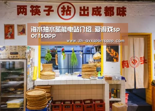 海水抽水蓄能电站介绍_爱游戏sportsapp(图2) 爱游戏sportsapp