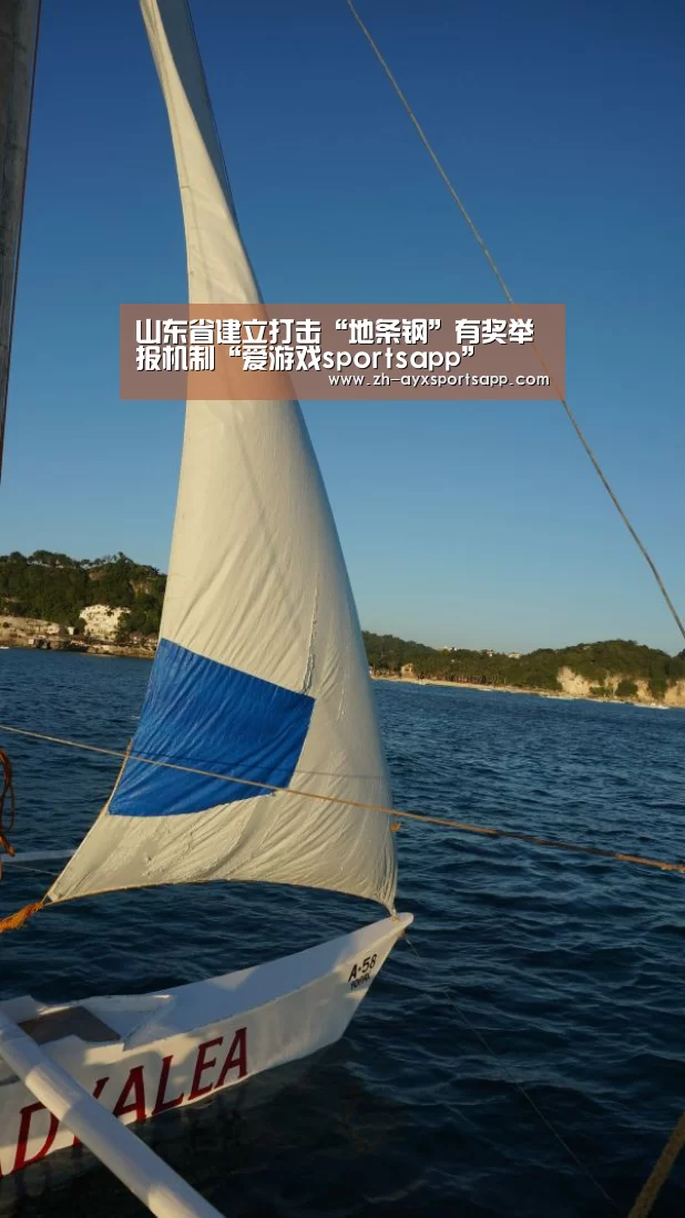 山东省建立打击“地条钢”有奖举报机制“爱游戏sportsapp”(图2) 爱游戏sportsapp