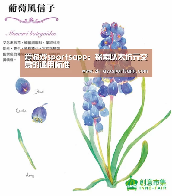 爱游戏sportsapp：探索以太坊元交易的通用标准