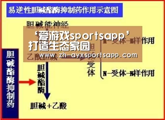 爱游戏sportsapp