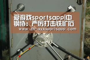 爱游戏sportsapp|中钢协:严厉打击铁矿石乱涨价、价格垄断等不规范行为_政策法规_新闻_矿道网(图1) 爱游戏sportsapp
